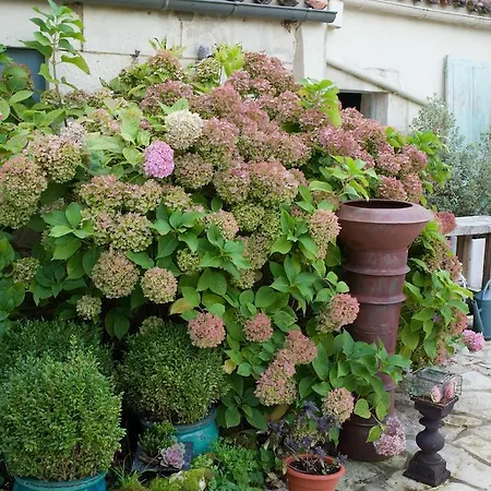 Bed & Breakfast Balade D'alienor 3*